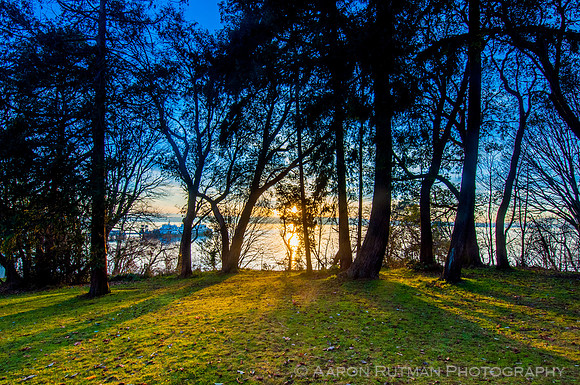 Aaron Rutman Photography: Recent: Lincoln Park, Christmas Day &emdash; 