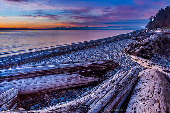 Aaron Rutman Photography: Recent: Lincoln Park, Christmas Day &emdash; 