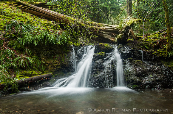 Rustic Falls, Moran State Park