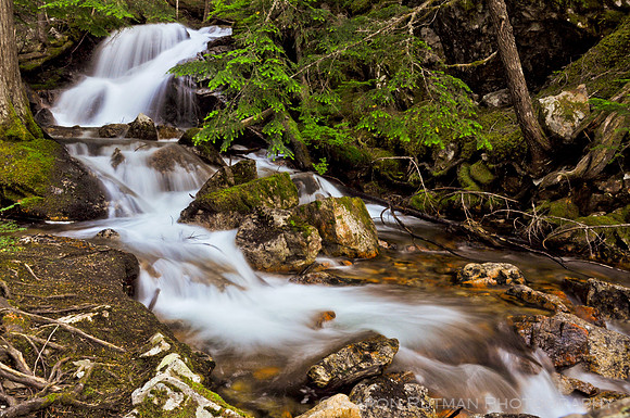 Ross Lake wilderness, Washington
