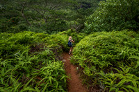 Belvedere, Moorea