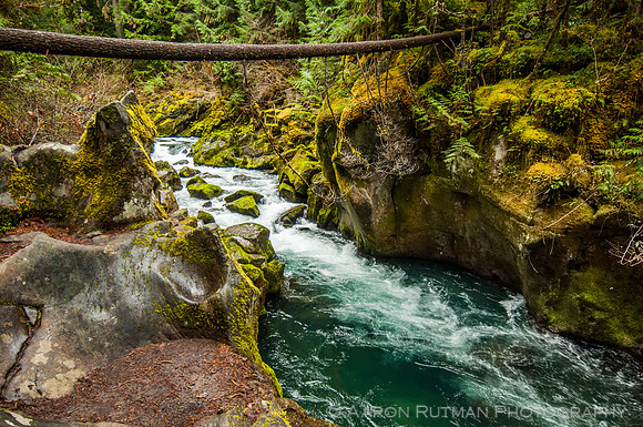 North Umpqua River, OR