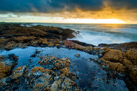 Cape Perpetua, OR