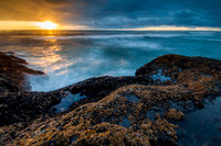 Cape Perpetua, OR