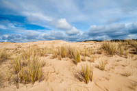 Oregon Dunes