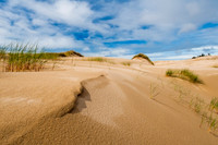 Oregon Dunes