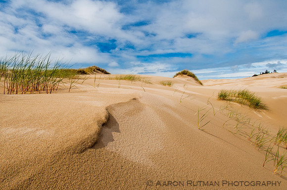 Oregon Dunes