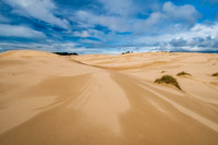 Oregon Dunes