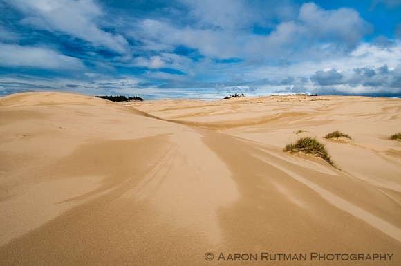 Oregon Dunes