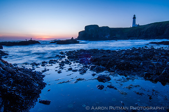 Yaquina Head Lighthouse from Cobble Beach