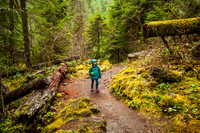 Umpqua National Forest