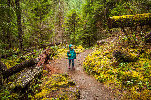 Umpqua National Forest