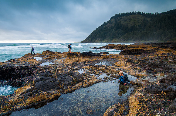 Cape Perpetua Tidepools