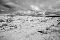 Oregon Dunes