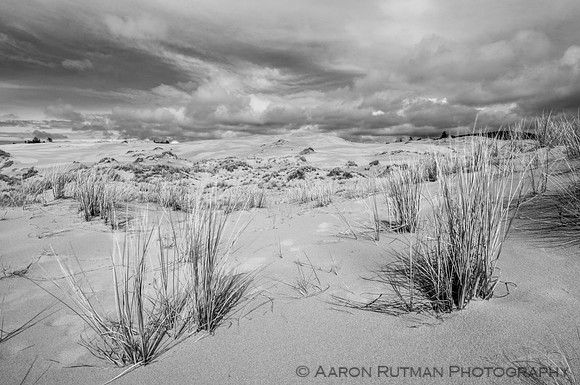 Oregon Dunes