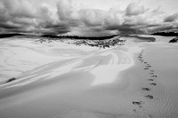 Oregon Dunes