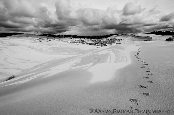 Oregon Dunes