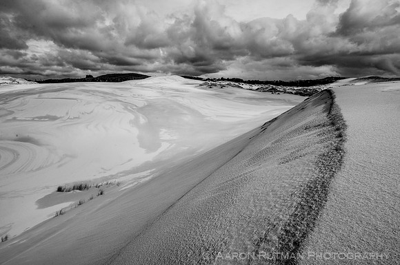 Oregon Dunes