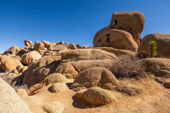 Skull Rock Nature Area, Joshua Tree National Park