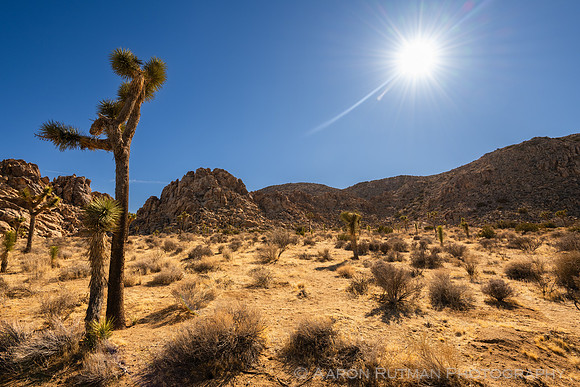Barker Dam Nature Area, Joshua Tree National Park