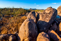 Hohokam Petroglyphs on Signal Hill, Saguaro National Park, AZ