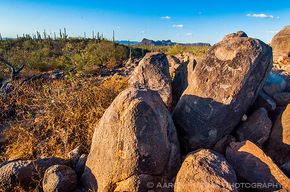 Hohokam Petroglyphs on Signal Hill, Saguaro National Park, AZ