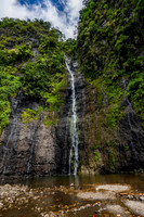 Faarumai