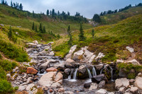 Paradise, Mt. Ranier National Park