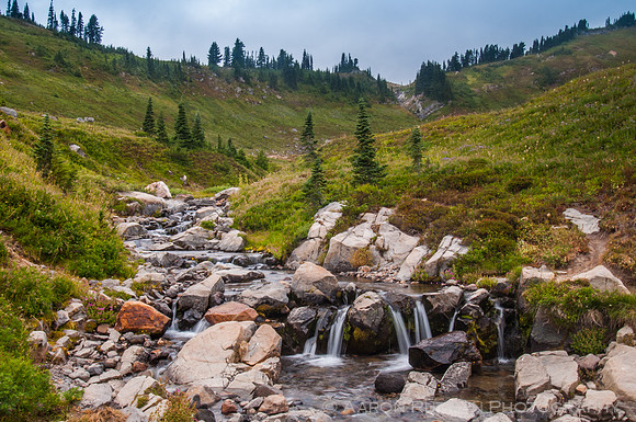 Paradise, Mt. Ranier National Park