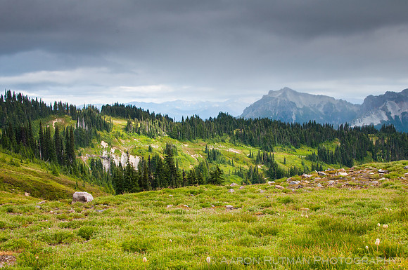 Paradise, Mt. Ranier National Park