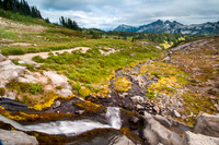 Golden Gate Trail, Mt. Ranier National Park