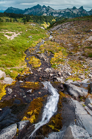 Golden Gate Trail, Mt. Ranier National Park