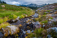 Golden Gate Trail, Mt. Ranier National Park