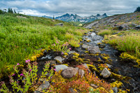 Golden Gate Trail, Mt. Ranier National Park