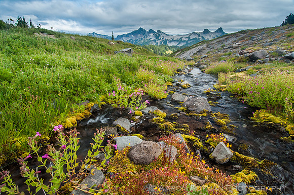 Golden Gate Trail, Mt. Ranier National Park