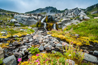 Golden Gate Trail, Mt. Ranier National Park