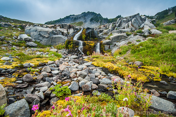 Golden Gate Trail, Mt. Ranier National Park