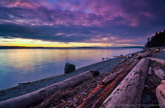 Puget Sound from Lincoln Park, West Seattle