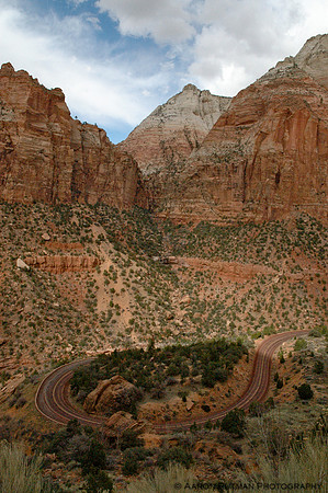 Zion snake