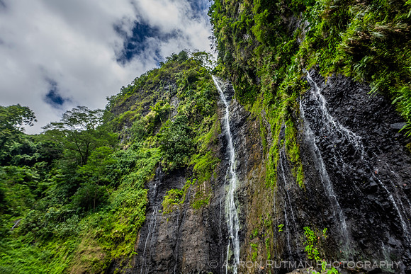 Faarumai