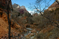 Spring thaw, Zion Nat'l Park