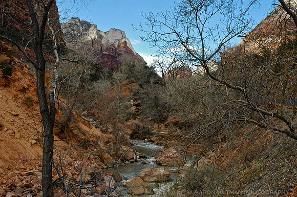 Spring thaw, Zion Nat'l Park