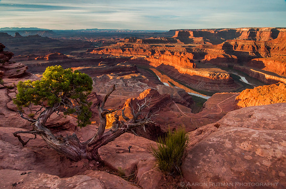Dead Horse Point, Utah