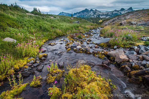 Golden Gate Trail, Mt. Ranier National Park