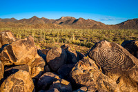 Hohokam Petroglyphs on Signal Hill, Saguaro National Park, AZ