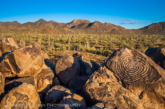 Hohokam Petroglyphs on Signal Hill, Saguaro National Park, AZ