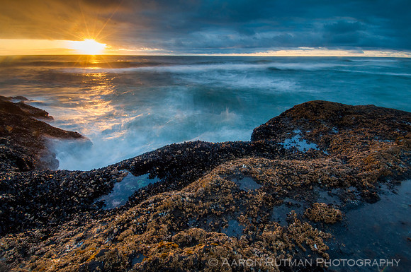 Cape Perpetua, OR