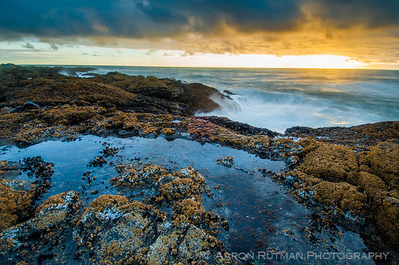 Cape Perpetua, OR