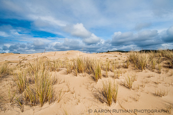 Oregon Dunes