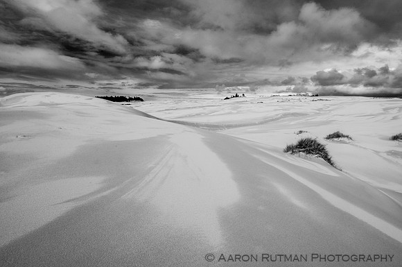 Oregon Dunes